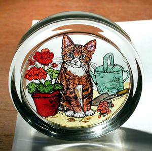 Cats